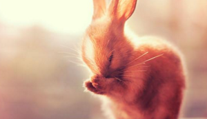 圣地圣火：塞维利亚主场决战皇家社会，为荣耀而战！