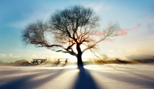 圣地圣火:塞维利亚主场决战皇家社会,为荣耀而战!