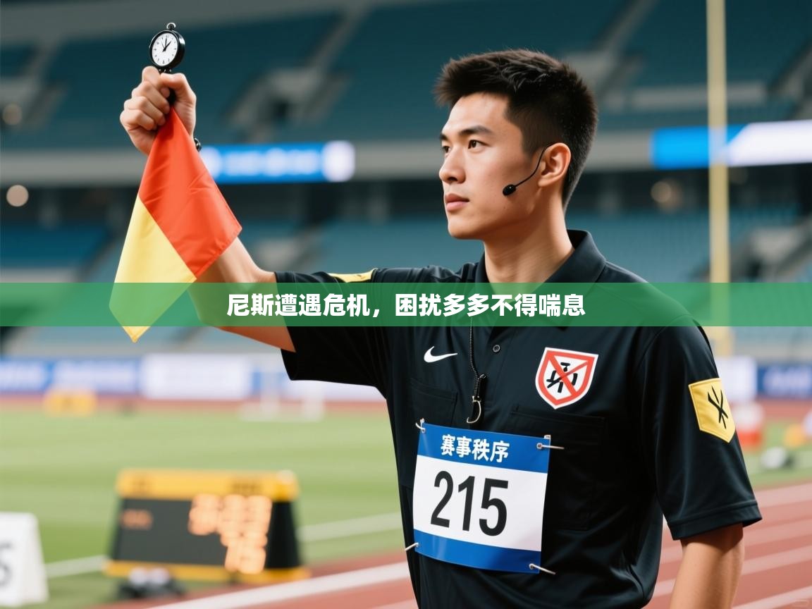 尼斯遭遇危机,困扰多多不得喘息 第1张