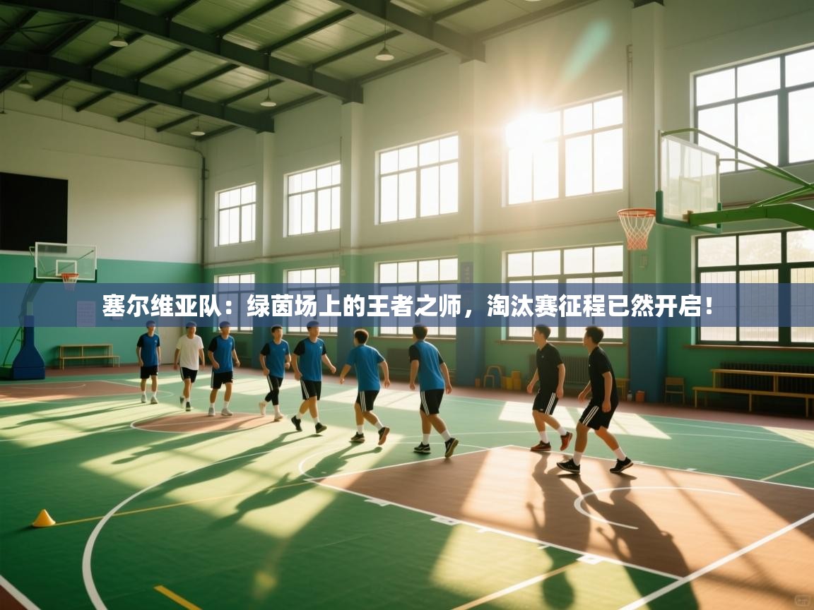 塞尔维亚队：绿茵场上的王者之师，淘汰赛征程已然开启！  第1张