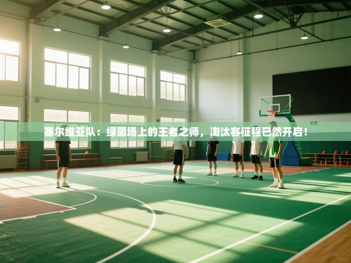 塞尔维亚队：绿茵场上的王者之师，淘汰赛征程已然开启！  第2张